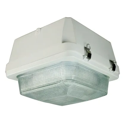 DLC new design super bright garage shop lights,garage light