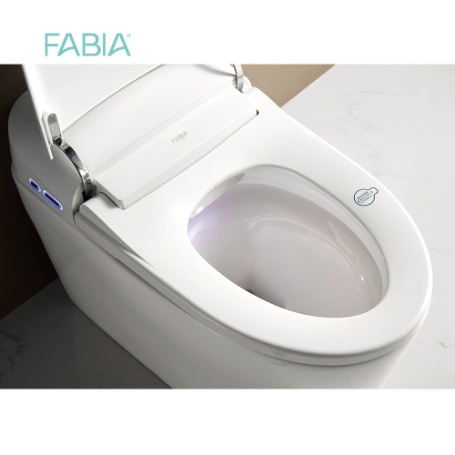 Best Full Function Wc Intelligent Toilet Bowl