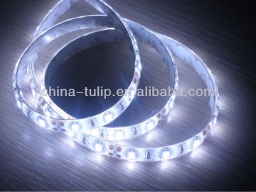 led rope light
