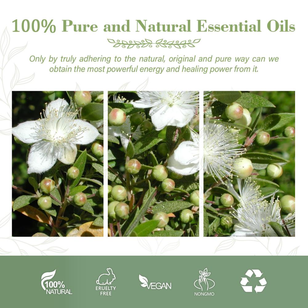 Body care 100% pure blend Making Myrtle oil Aromatherapy Diffuser