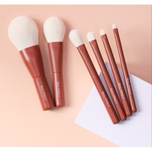 Mini Professional Makeup Brush Kit