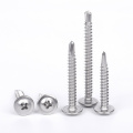 Pan head phillips head self tapping screw A2-A4