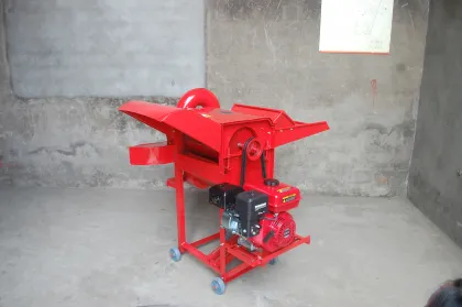 Wheat Grain Food Grade White Wheat Grain Russian