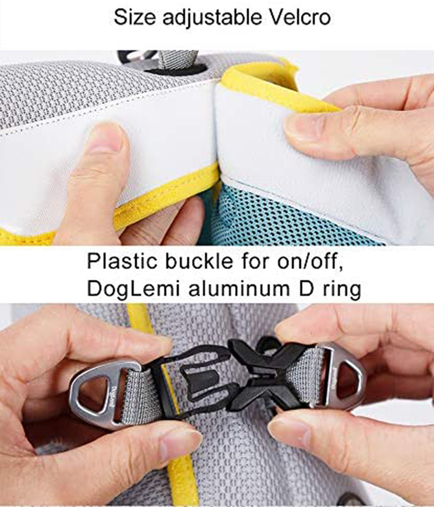 dog vest hunting