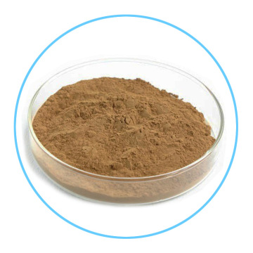 Forsythia lianqiao extract