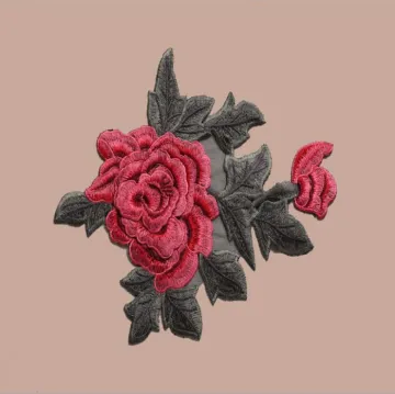Crown Dresses Applique Design Lace Applique