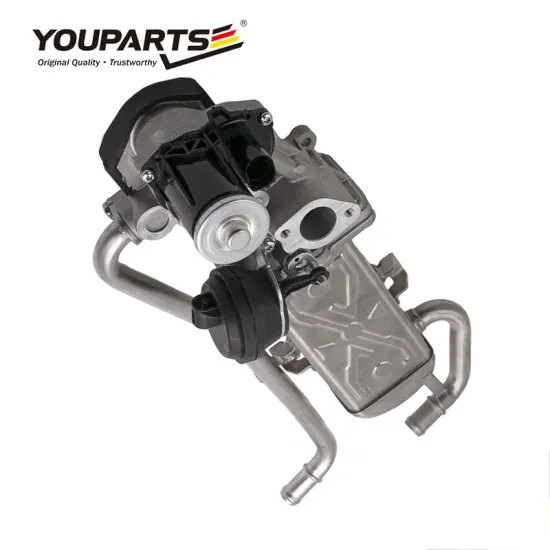 YOUPARTS OEM EGR Valve for AUDI SEAT SKODA VW (03L131512AS/AN/BH/BK)