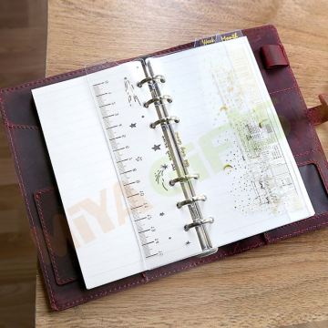 Transparent Frosted Plastic Ruler Bookmark with Gold Foiling for Planners and Notebooks