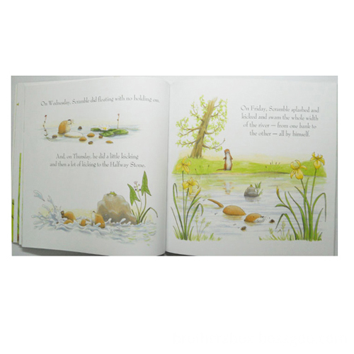 Custom Brand Design Children Book Printing