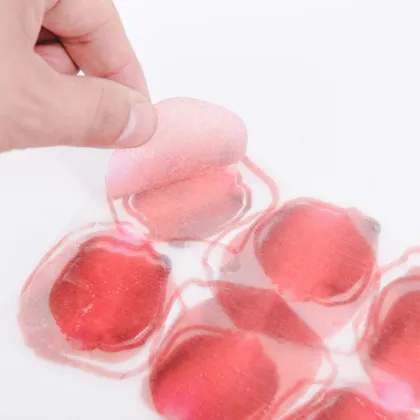 Private Label Custom Organic Vegan Fruit Slice Sheet Masks