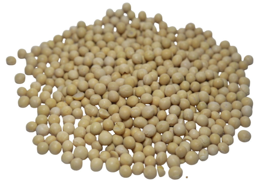 6cb9a1ad952ee2940b08876465f612bd