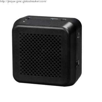Professional Portable Amplifier RM-2105