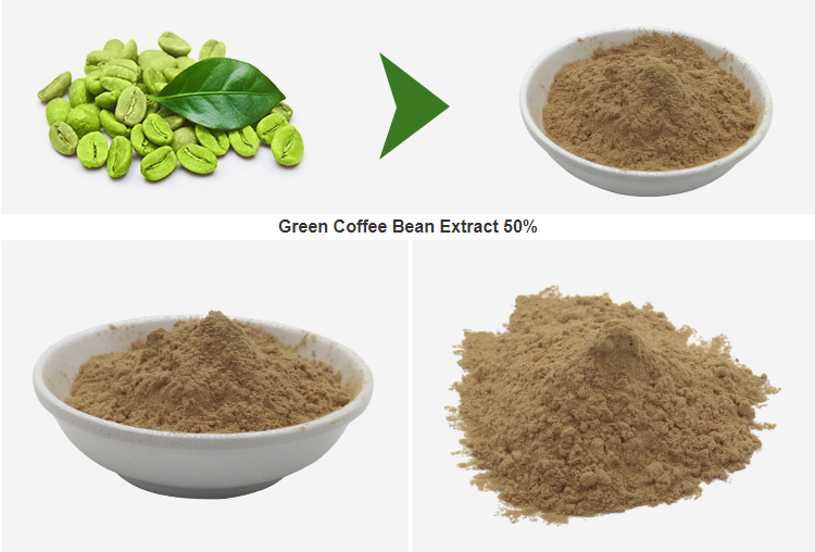  Green Coffee Bean Extract