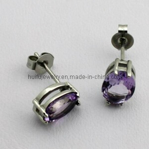 Amethyst Pure Shiny Steel 316ss Earrings