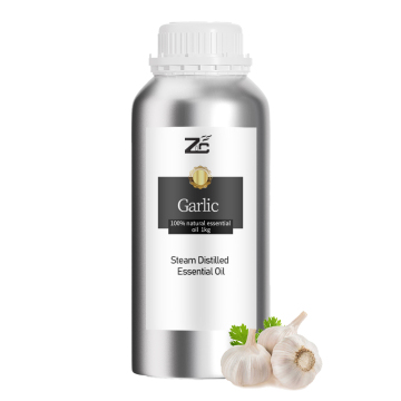pure Garlic Oil/Garlic essetnial Oil