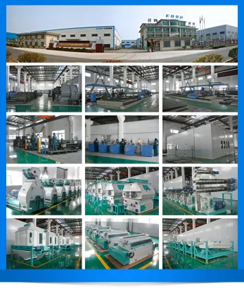 FDSP Livestock Feed And Fish Feed Set&Poultry Feed Set &feed machine