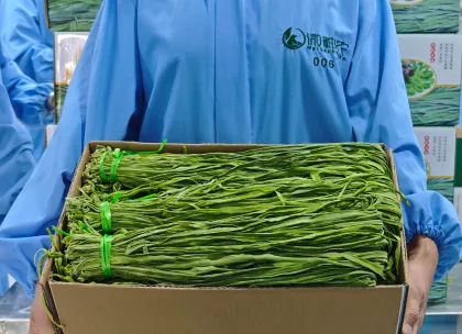 5kg Boxed Dried Gongcai