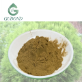 مستخلص Arborvitae للمكملات الغذائية
