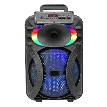 Portable Bluetooth Karaoke Speaker - 10 Inch Music Box with Party Loudspeaker