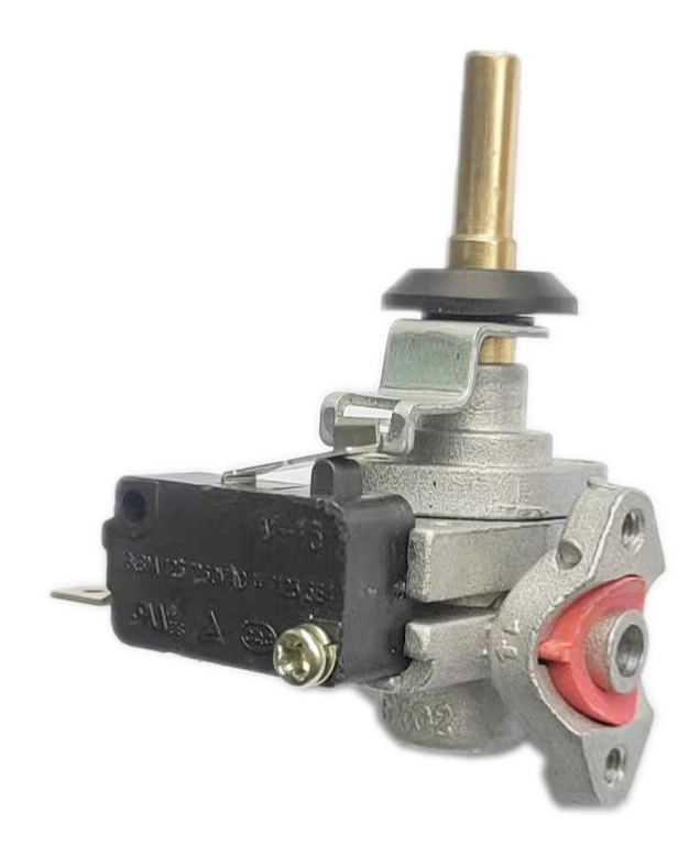 Micro Switch Built in Valve