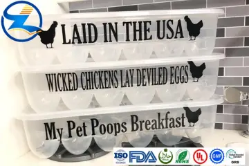 Rigid and Transparent PET Egg Flats with Lids