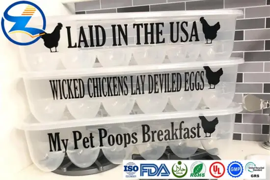 Rigid and Transparent PET Egg Flats with Lids