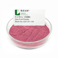 Acai Berry Fruit Powder