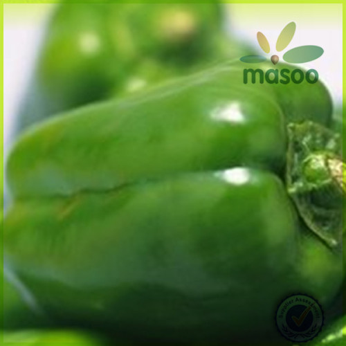 Green Pepper