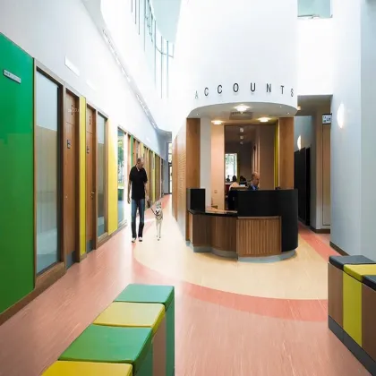 Antislip PVC Vinyl Floor by Jiangsu Huajing Floor Technology Co Ltd