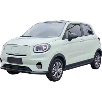 Leapmotor T03 2023 310 Lightweight Edition