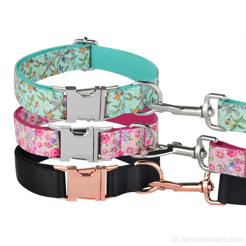 OEM Fashion Custom Luxury Dog colares e trelas