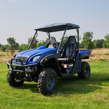 Lvcci 72V Electric Buggy UTv for Activities