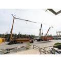 1ton Mini Crane Selfering