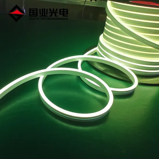 SMD 8x16mm 5050 24V Silicon Cover RGBW Neon Rope Light for Landscape