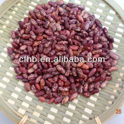 Large size Purple speckled kidney beans