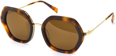 C4 Acetate Sunglasses Tortoiseshell-Gold