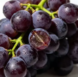 Fresh Grape Clusters for Juice & Table Use