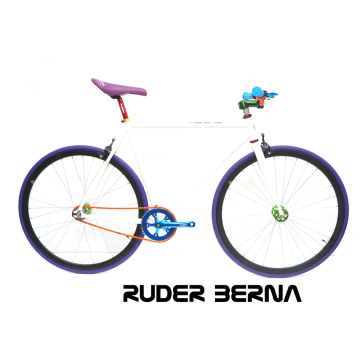 Ruder Berna Taiwan Made special halley used bike bicycle in japan osaka