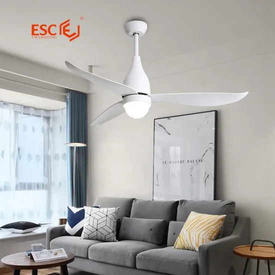 Quiet Saving Contemporary Home Decorative Ceiling Fan Light