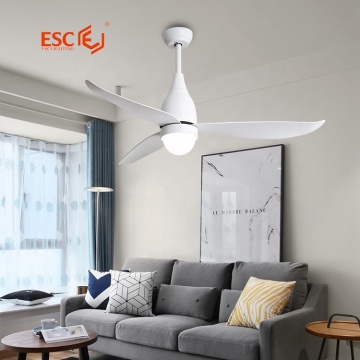 Quiet Saving Contemporary Home Decorative Ceiling Fan Light