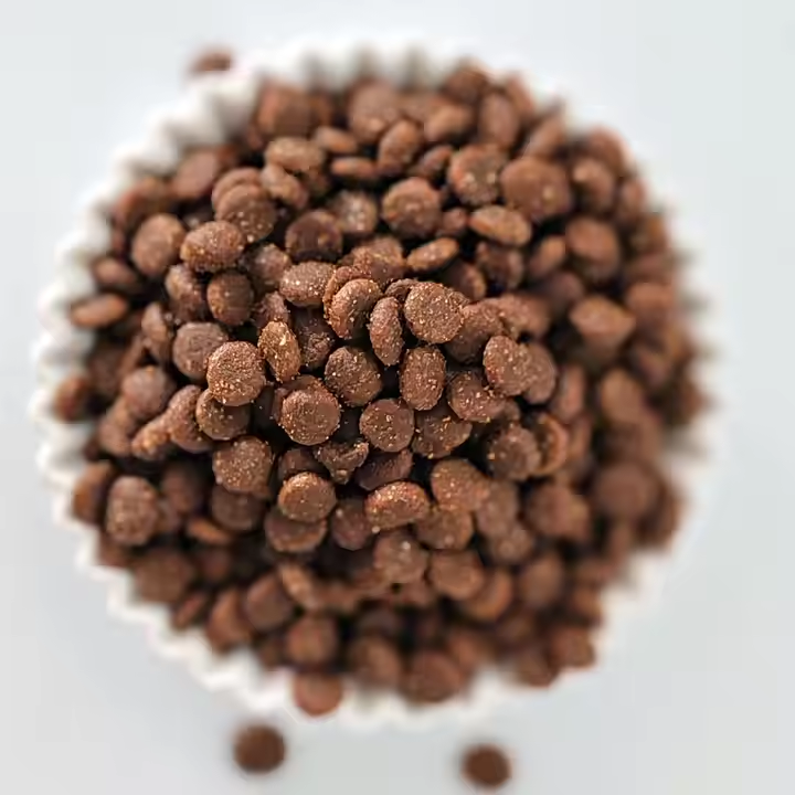 Alimentos para cães secos nutritivos e equilibrados