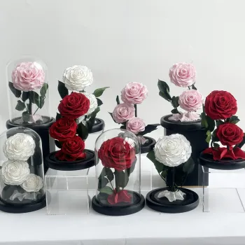 Eternal Love Rose: Single Rose Preserved in Glass Dome for Valentine's Day