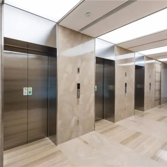 Customized Passenger Elevator Prices from FUJI Manufacturer