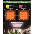 Amostra grátis 240W 4 barras LED crescer luz