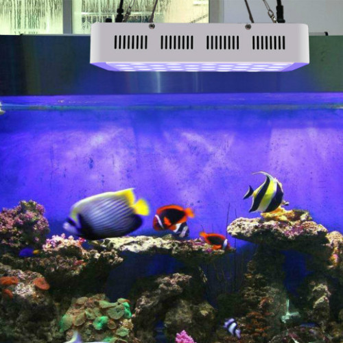 Lampu Koral Aquarium Rendah 165wcan disesuaikan