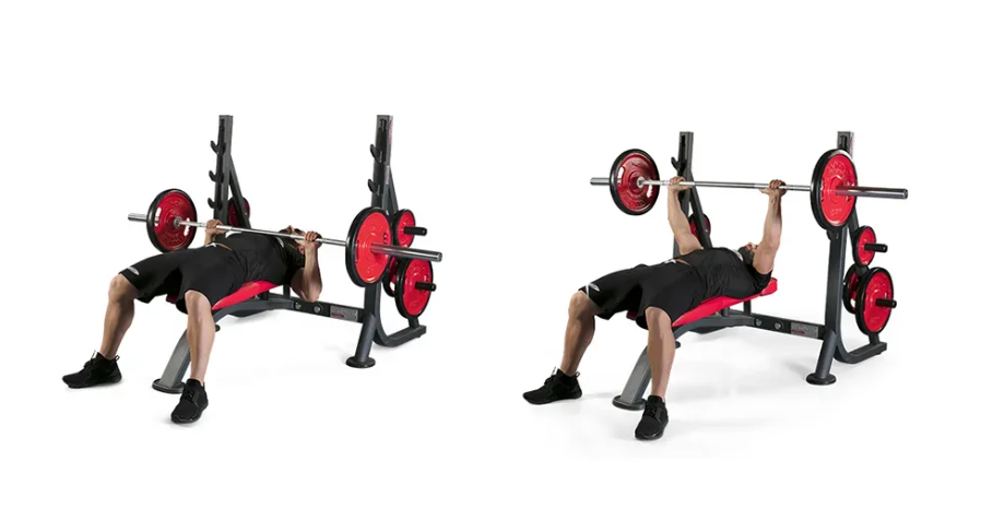 Olympic Chest Flat Bench