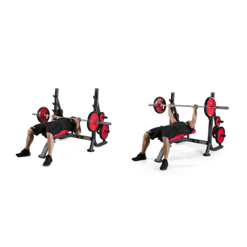 Olympic Chest Flat Bench