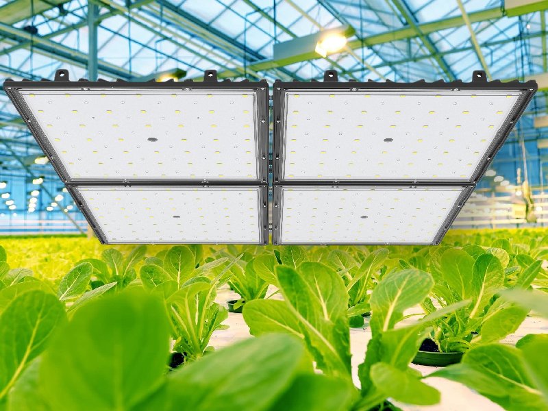 150W Programmable LED Grow Light