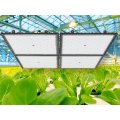 150 W 660 nm Grow Light para fazendas verticais