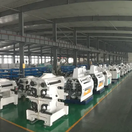 Pneumatic Double Roller Mill
